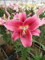 [4573 VH49 No102.JPG]